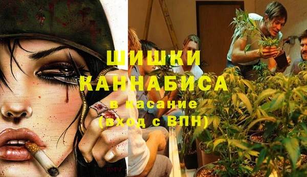 стаф Горняк