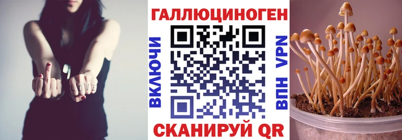 Галлюциногенные грибы GOLDEN TEACHER  Купить где  Нариманов 